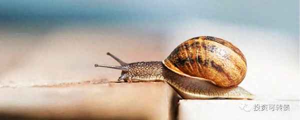 即将上市的可转债(即将上市的可转债排队)