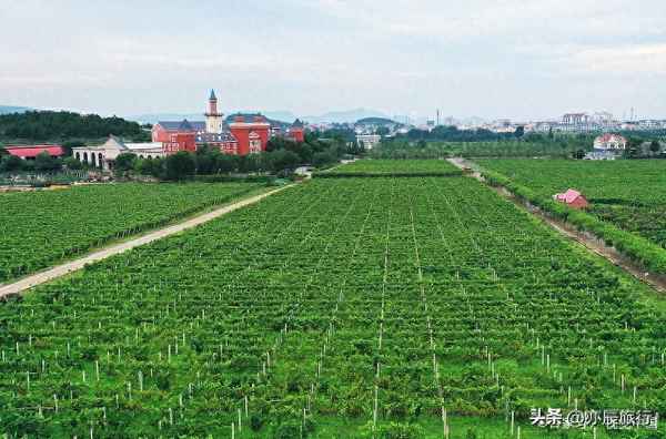 棗莊旅游攻略必玩的景點(diǎn)_棗莊旅游景點(diǎn)大全景點(diǎn)排名