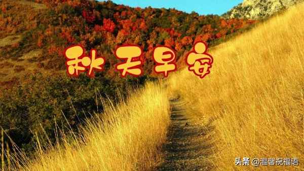 贊美秋天的句子和詞語;描寫秋天的優(yōu)美句子摘抄