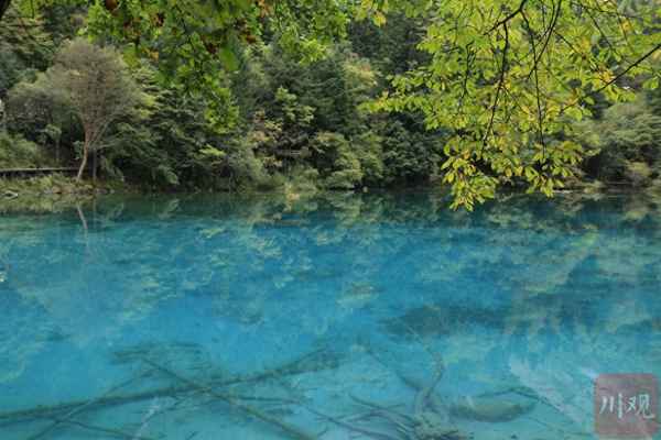 最美九寨沟描述九寨沟的美景(中国最美九寨沟美景)