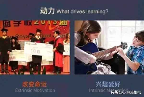 歐美亞教育-歐美亞教育聯(lián)盟官網(wǎng)