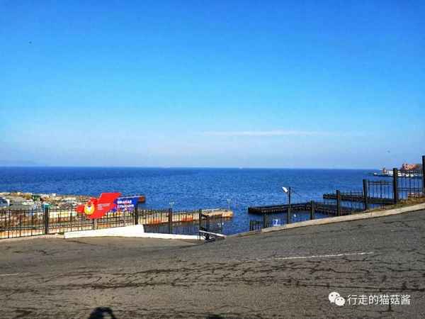 去海參崴旅游需要多少錢_去海參崴旅游多少錢一個人