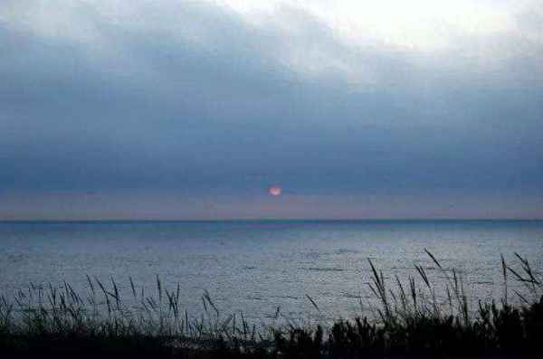 旅夜书怀古诗带拼音版注释—《旅夜书怀》注音版