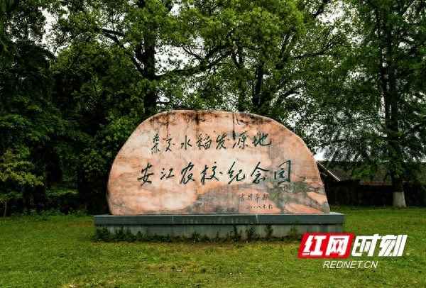 袁隆平的安江在哪里_袁隆平與安江