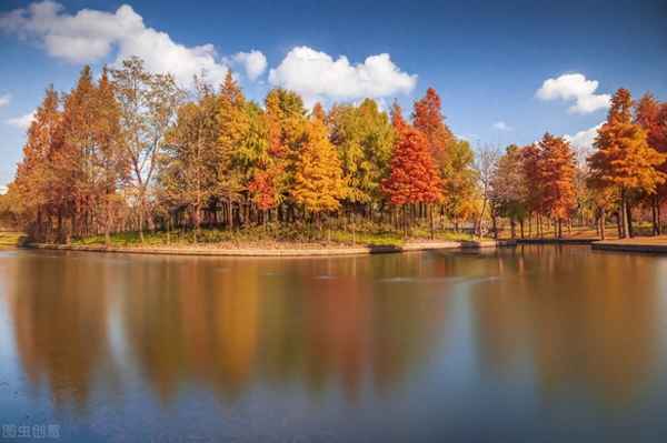 上海周边秋景哪最美_上海周边最佳赏秋景点