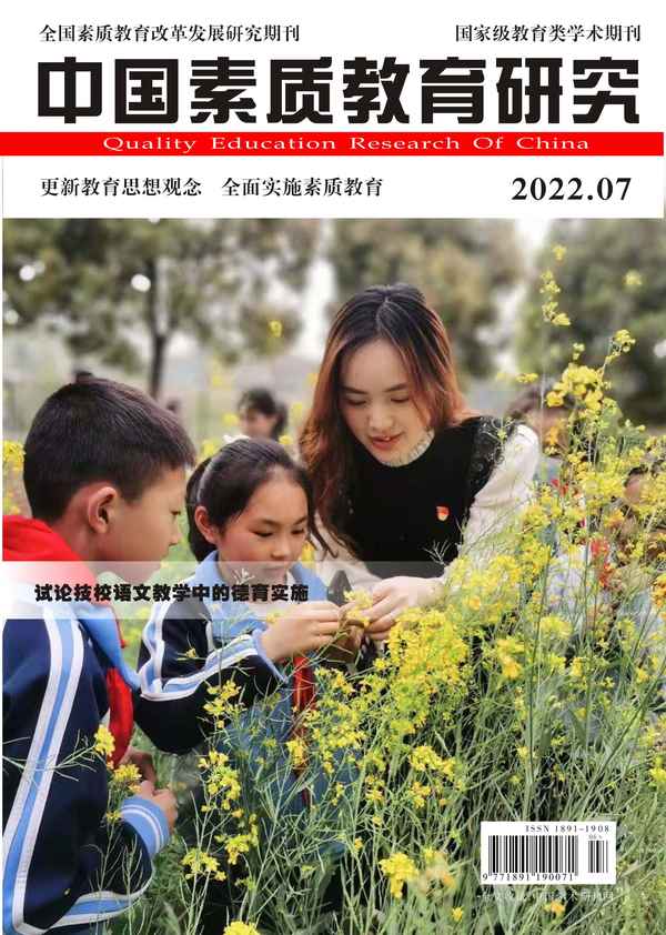 素質教育期刊(素質教育期刊發表論文在哪里查找)