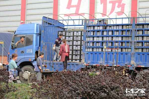 6米8燃氣貨車報價;6米8燃氣貨車報價及圖片