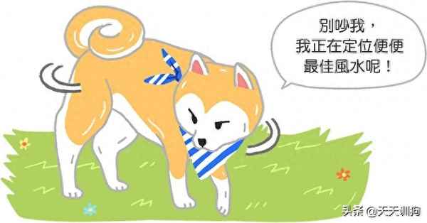 小孩进房子就拉屎风水好不好,小孩在新房拉屎寓意啥