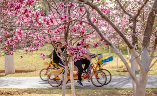 济南市文化和旅游局-济南市文化和旅游局所属事业单位招聘