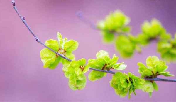 中央财经大学在职研究生好考吗,中央财经大学在职研究生怎么样