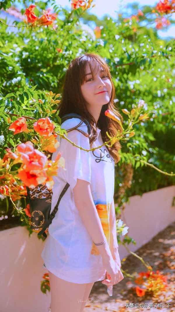 顶流爱豆在女团选秀躺赢TXT下载_顶流爱豆在女团选秀躺赢txt下载