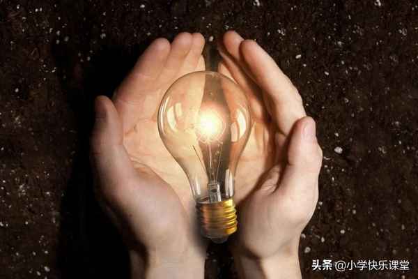 我做了一下實驗300字作文_我做了一下實驗200字作文
