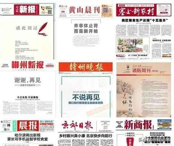 薏菲财经—意菲财经?