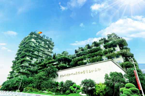 碧桂园现在什么情况—碧桂园房产现在沦陷是真的吗