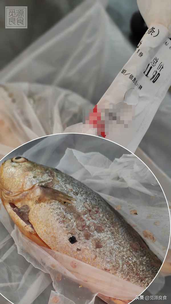 紅燒小黃魚怎么做好吃又簡單(紅燒小黃魚的做法大全家常)