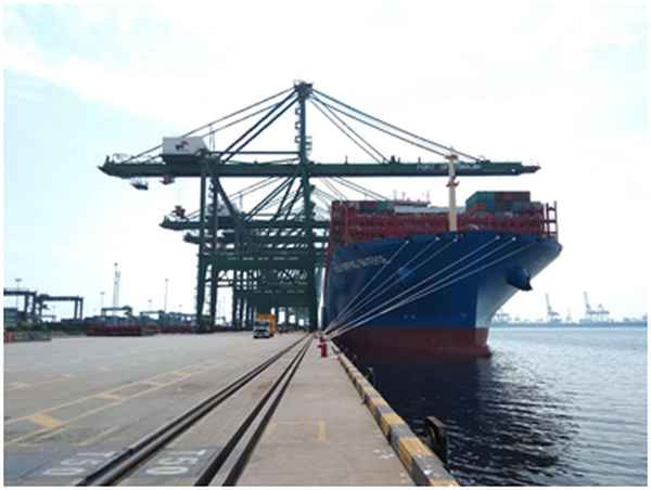 天津港的业绩优良(天津港的优势和劣势)