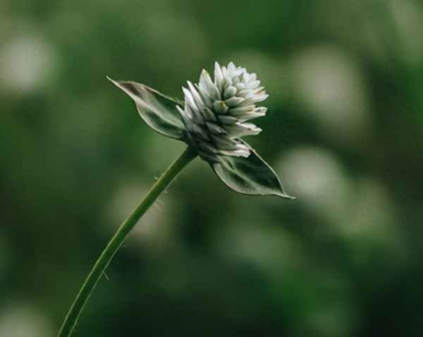 生活中的心理学知识-生活中的心理学知识有哪些