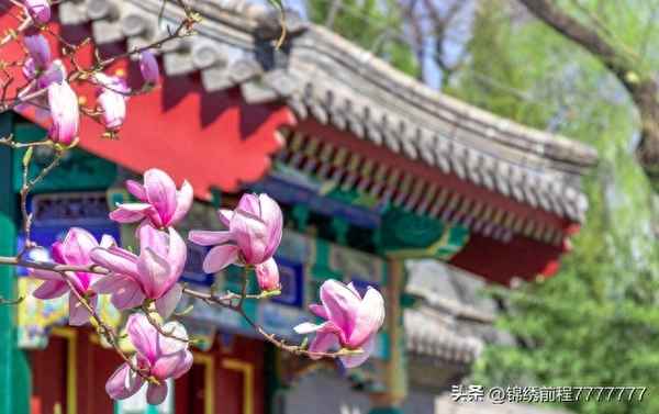 近代10本最值得读的书-中国近代100部小说名著