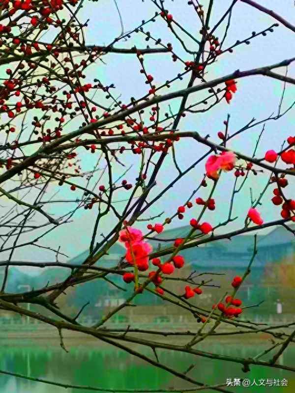 生死契阔与子成悦是什么意思-生死契阔与子成说意思读音