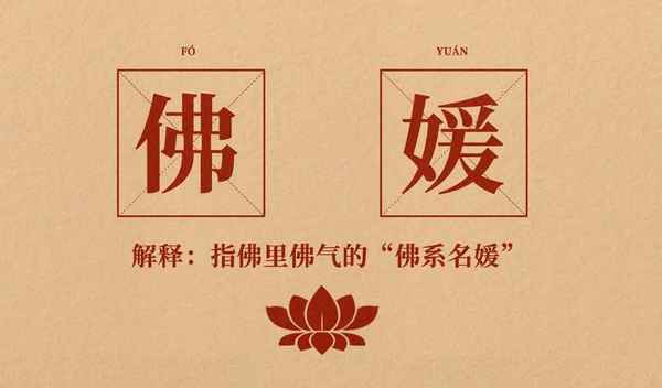 媛房产(媛姐房产中介)