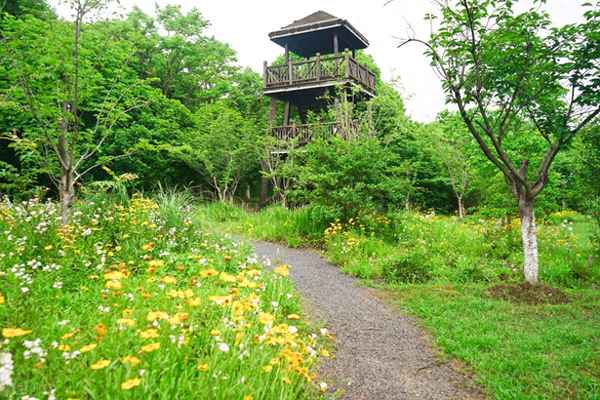 江夏紙坊十大好玩景點、江夏紙坊十大好玩景點排名