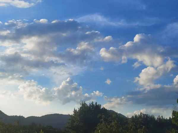 杭州临安租房多少钱一个月,杭州临安租房子