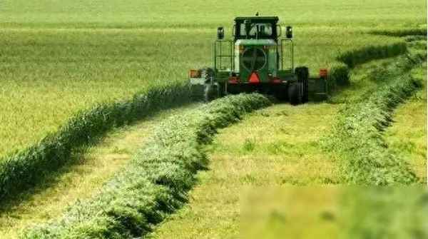 小麦财经新闻;小麦价格新闻