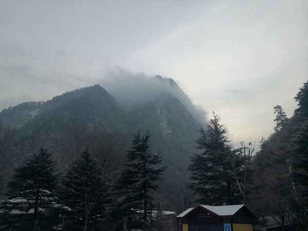 九寨沟旅游心得体会-九寨沟旅游心得体会200字