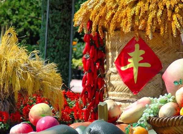 水稻生长过程顺序图;水稻生长过程顺序图片