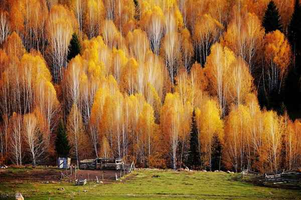 秋天國(guó)內(nèi)最佳旅游地,適合秋天去的國(guó)內(nèi)景點(diǎn)
