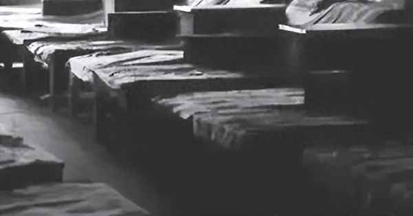 中药米雀又叫什么_中药米雀叫什么