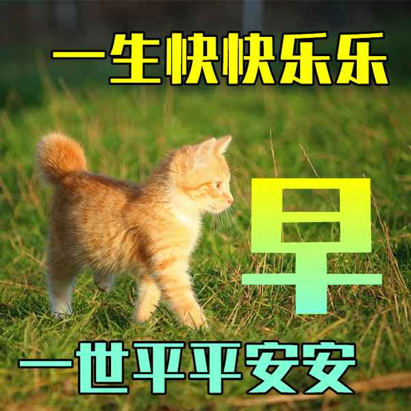 形容平安健康的詞語(yǔ),形容平安健康的詞語(yǔ)起微信名