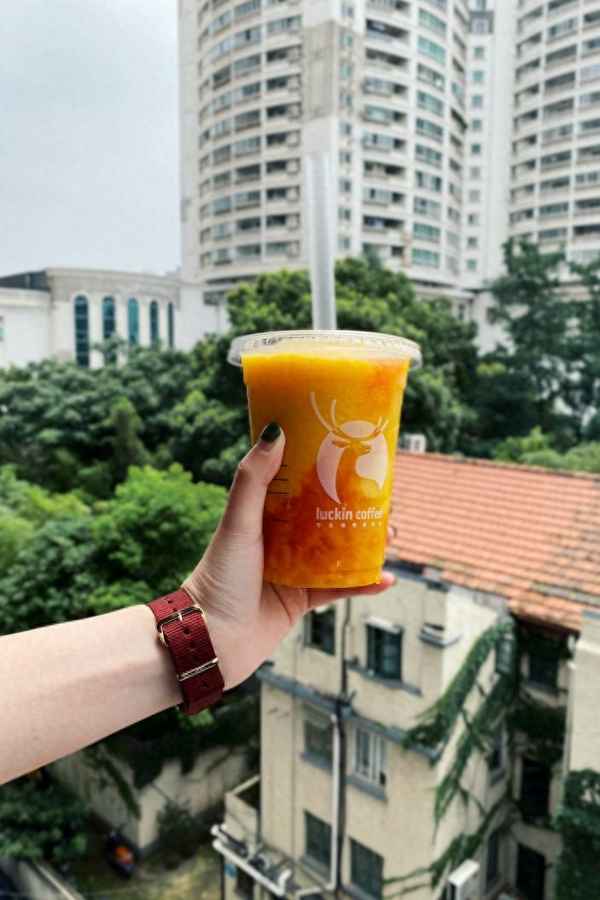 冰沙十大排行榜品牌,冰沙十大排行榜品牌有哪些