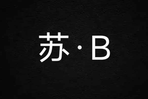 中國(guó)唯一沒(méi)B車(chē)牌的省份-中國(guó)唯一沒(méi)b車(chē)牌的省份是哪里