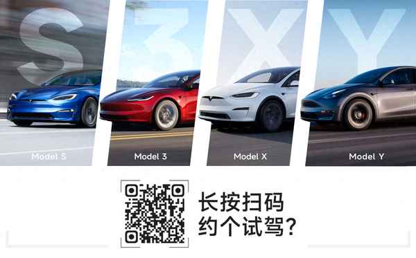 特斯拉車主賣的車型,特斯拉車主賣的車型是什么