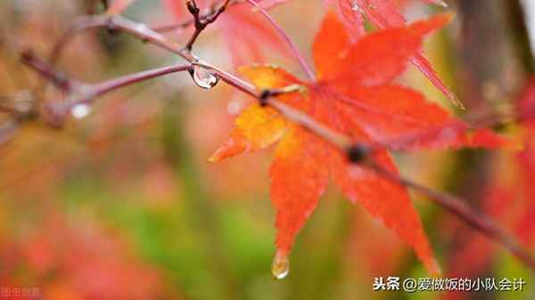 醬香排骨的家常做法視頻、醬香排骨的做法最正宗的做法竅門(mén)
