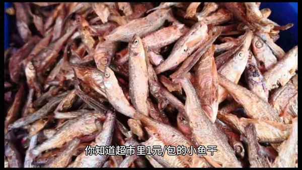 銀魚(yú)干多少錢(qián)一斤;銀魚(yú)干多少錢(qián)一斤 淡水