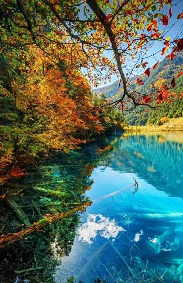 10月中旬九寨溝景色_10月中旬九寨溝旅游攻略