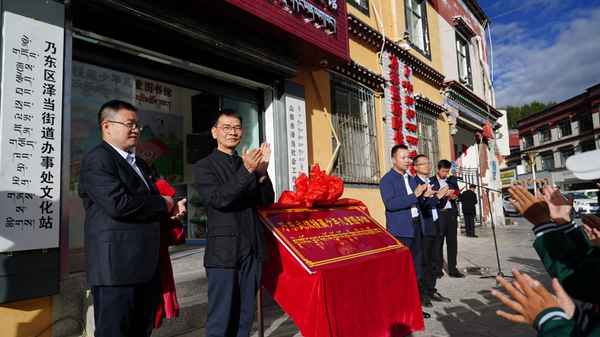 武漢援藏領隊袁寧簡介;湖北第十一批援藏總領隊
