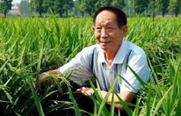 贊美腦子靈活的詞;形容腦子靈活