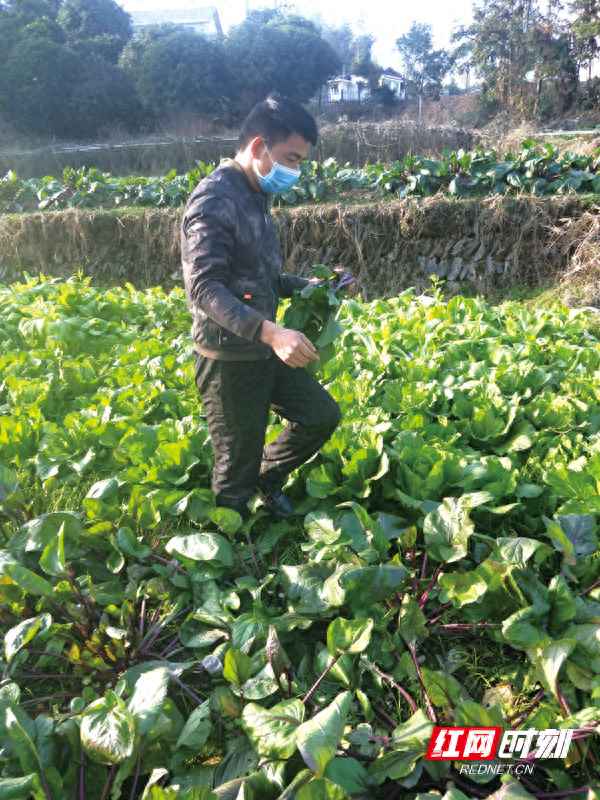 浏阳碧桂园岭秀苑5街7栋-浏阳碧桂园岭誉二期地址