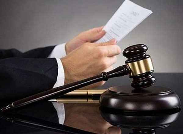 康欣公司的法定代表人—康欣的公司