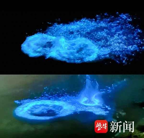 連云港免費開放的海灘-連云港免費開放的海灘哪個最好玩