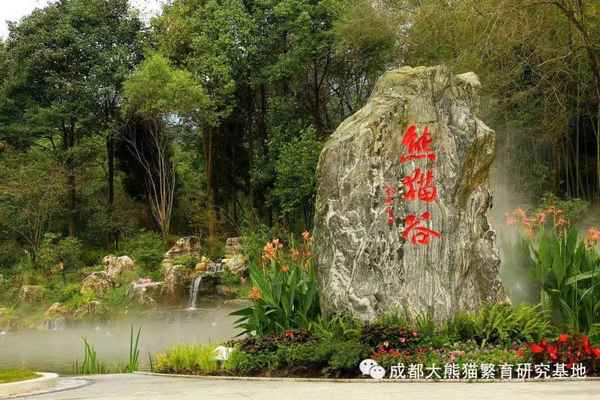 都江堰熊貓谷景區_都江堰熊貓谷景區簡短介紹