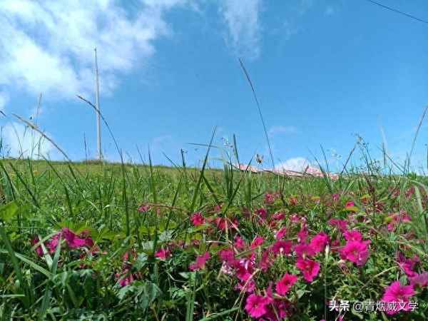 我本无心惹红尘奈何红尘扰我心-红尘一梦醉千年,寂寞一世歌相伴