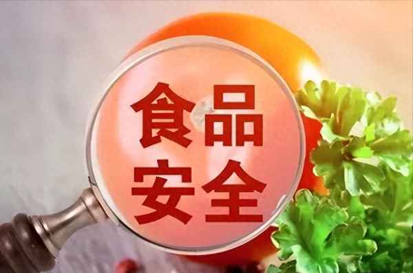 食品安全與健康論文,食品安全與健康論文2000字大學(xué)生