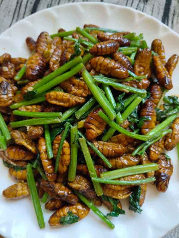 干炒蠶蛹家常做法;蠶蛹干炒行不行