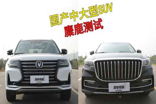 麋鹿體型對比汽車,銳志麋鹿測試成績