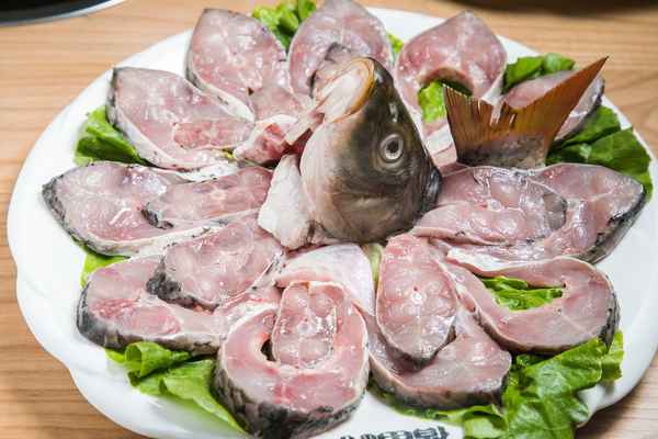 观察鱼鳃及鱼的呼吸视频—观察鱼鳃及鱼的呼吸视频教程