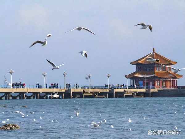 山東青島旅游,山東青島旅游攻略